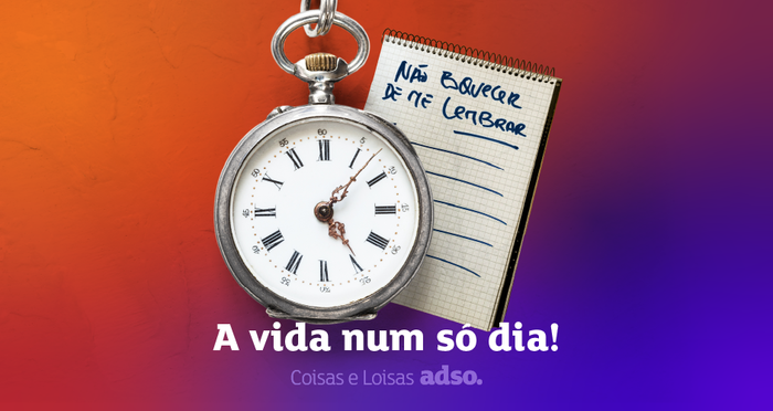 A vida num só dia!