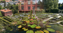 ✅ Jardim Botânico do Porto - Galeria da Biodiversidade - Casa Andresen